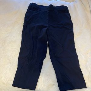 Briggs’s Cropped Pants